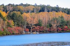 20251012白駒池 紅葉